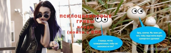 ГАЛЛЮЦИНОГЕННЫЕ ГРИБЫ Вяземский