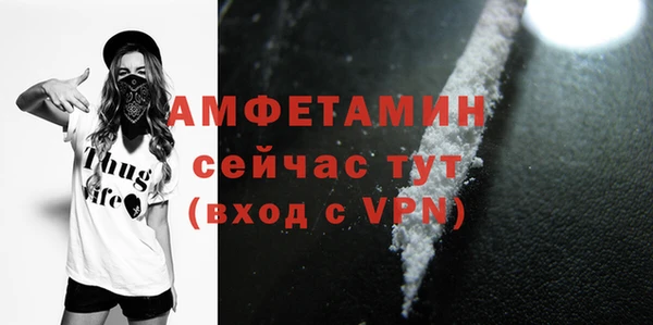 ГАЛЛЮЦИНОГЕННЫЕ ГРИБЫ Вяземский