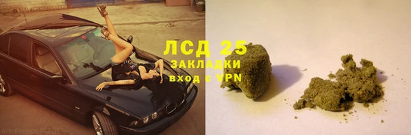 ГАЛЛЮЦИНОГЕННЫЕ ГРИБЫ Вяземский