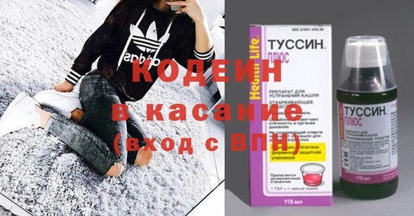 ГАЛЛЮЦИНОГЕННЫЕ ГРИБЫ Вяземский