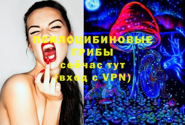 ГАЛЛЮЦИНОГЕННЫЕ ГРИБЫ Вяземский